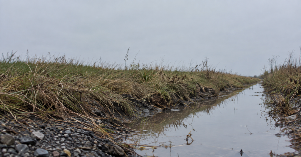 Drainage Ditch from a low angle, generated by AI